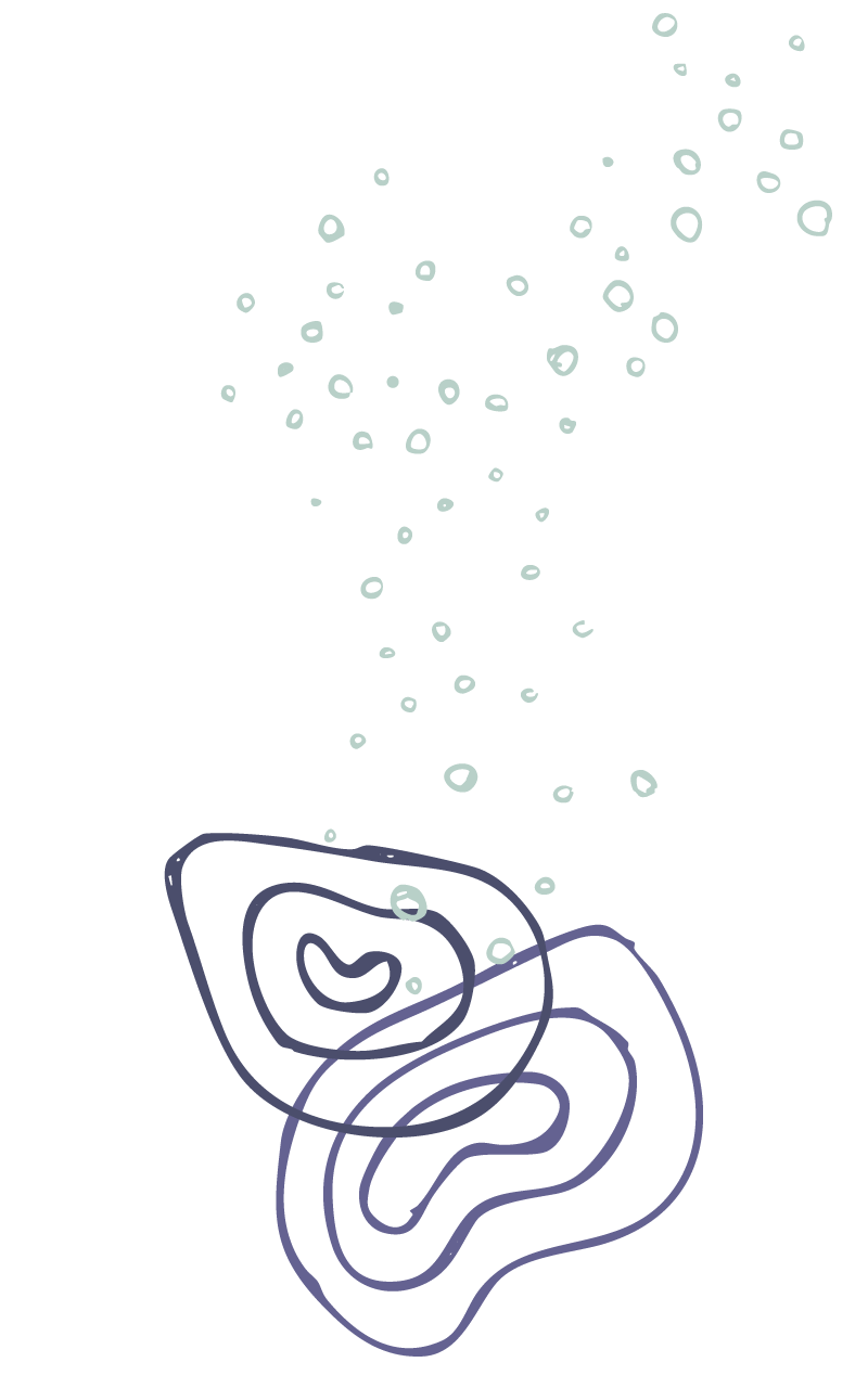 Gewaltfreie-Kommunikation-Team-Workshop-Wien-fuer-NGO