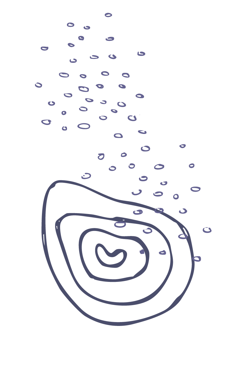 Gewaltfreie-Kommunikation-Einfuerhung-Workshop-Wien